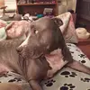 Jeffrey Wheat - @jeffrey.wheat - TikTok