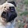 jeffreywheatleysr - @jeffreywheatleysr - TikTok