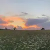 Jeffery Whitehurst - @jefferywhitehurst204 - TikTok