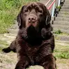 Jeffrey Windhoud - @jeffreywindhoud - TikTok