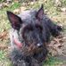 Jeffrey Woosley - Facebook