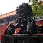 Jeffrey Yin - @jeffreyyin821 - Instagram