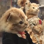 Jeffrey J. Younger - @youngerman - Instagram