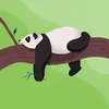 Jeffery Zelaya - @jeffery.zelaya - TikTok