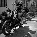 Jeison Moreno - @jeisson9606 - Instagram