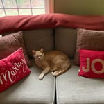 Jemma Burns - @ava.berry27 - Instagram