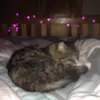 jemmaburns11 - @jemmaburns11 - TikTok