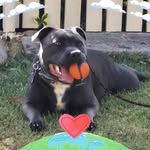 Jemma Griffiths - @jgriffo2005 - Instagram