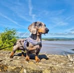 Jemma Griffiths - Facebook