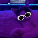 Jemma Stevenson - @jemmastevenson3 - Instagram