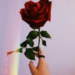 Jemma Waters - @jemm_bear - Instagram