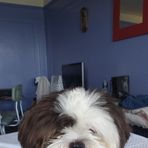 Jemma Wiggins - Facebook