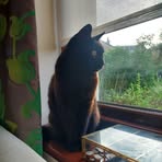 Jen Ahn - Facebook