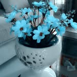 Nur Jenah - @jenah.n - Instagram