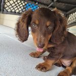Jen Baird - @jenbaird22 - Instagram