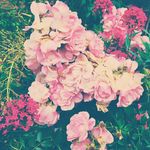 Jen Baird - @jen_baird_photography - Instagram