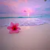 jennb - @jenbernard5 - TikTok