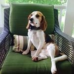 Jen Boucher - @boucherjjaj - Instagram