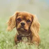 jennaboucher - @jennaboucher10 - TikTok