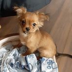Jennifer Boucher - Facebook