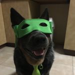 Dora - @jenbrennan4770 - Instagram