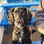 Jen Brennan - @mrfrodoloveslife - Instagram