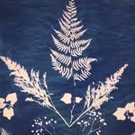 Jen Brimmage - @cyanojenn - Instagram