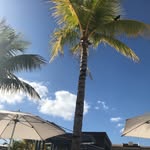 Jen Brown - @jenbrown11 - Instagram