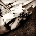 Jen Byrd - @mikid411 - Instagram