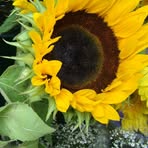 Jen Cameron - Facebook