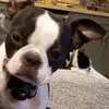 jencassidybares - @jencassidybares - TikTok