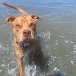 Jen Chapman - @prince_tinopai - Instagram