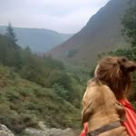 Jen Chapman - @jazzfairy1 - Instagram