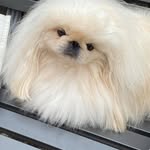 Jen Chapman - @jen.chapman.50 - Instagram