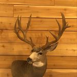 Cody Jensen - @22codyjen - Instagram