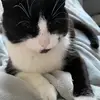 Jen Corrall - @jen.corrall - TikTok