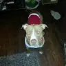 Jennifer Corral - @jen.corral16 - TikTok