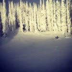 Jen Cross - @jencross1 - Instagram