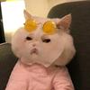 𝓳𝓮𝓷𝓭𝓪𝔂 - @_jen.dayy_ - TikTok