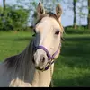 Jenn Dempsey - @dempsey1029 - TikTok