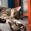jendietrich0 - @jendietrich0 - TikTok