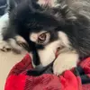jendo650 - @jendo650 - TikTok