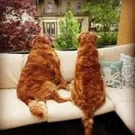 Jen Farley - @mrspharleigh - Instagram