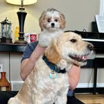 Jen Ferguson - @totallybaggedottawa - Instagram