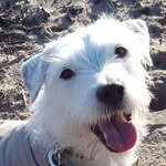 Jen Ferguson - @ferguson7244 - Instagram