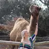 Jenna Gann - @jennagann - TikTok