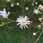 Jen Gardner - @jengardrdh - Instagram