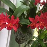 Jen Gerber - @gerber1239 - Instagram
