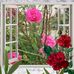 Jen Gerber - Facebook