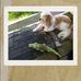 Jenny Gerber - Facebook